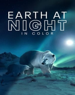 Planeta nocturno: a todo color online gratis